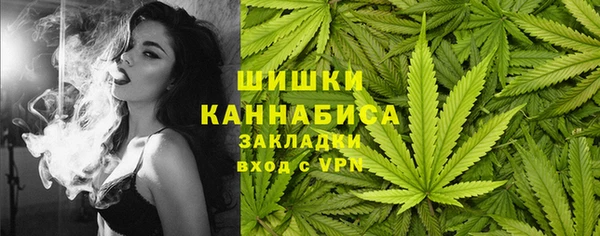 spice Касимов