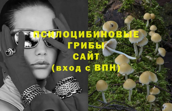 spice Касимов