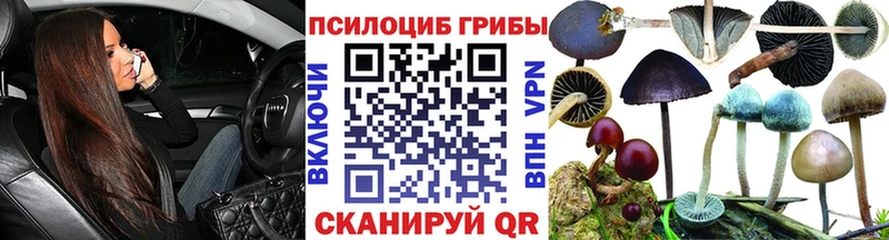 Купить закладки  Белово  Псилоцибиновые грибы мухоморы 